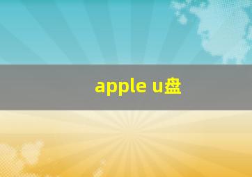 apple u盘